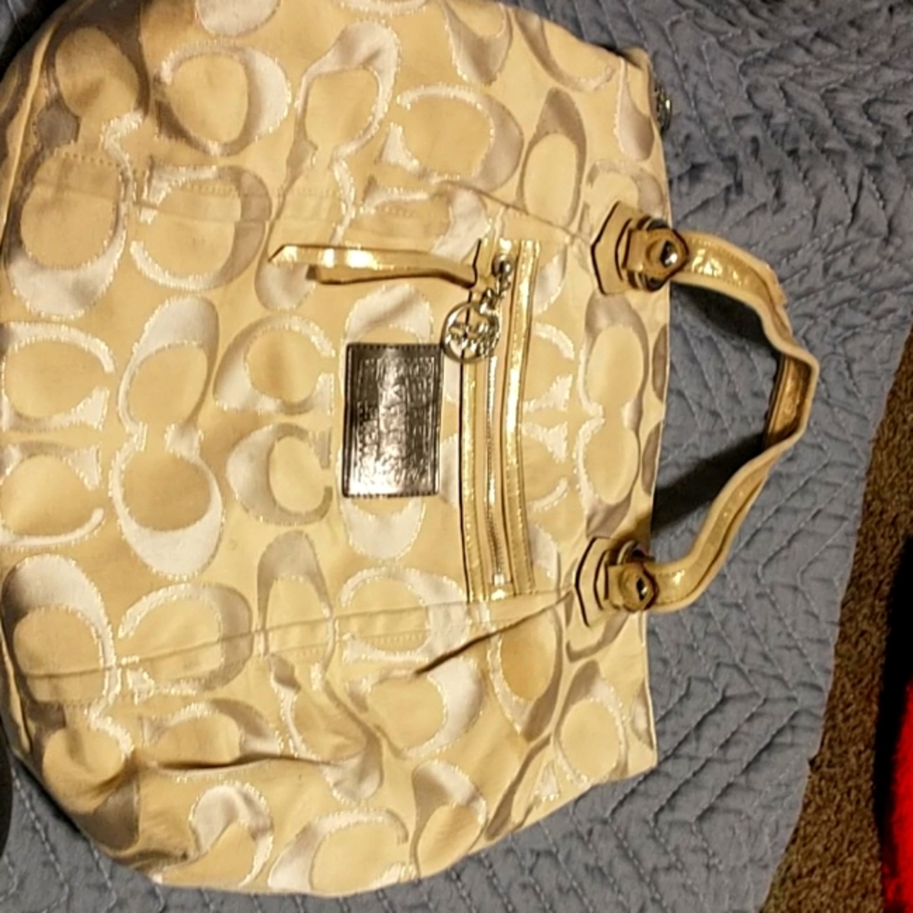Goldwn Coach princess bag light baby pink inside